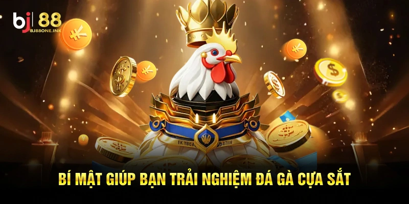 Bí mật giúp bạn trải nghiệm đá gà cựa sắt