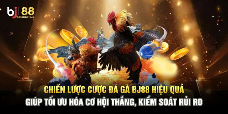 Chiến lược cược đá gà BJ88 hiệu quả giúp tối ưu hóa cơ hội thắng, kiểm soát rủi ro