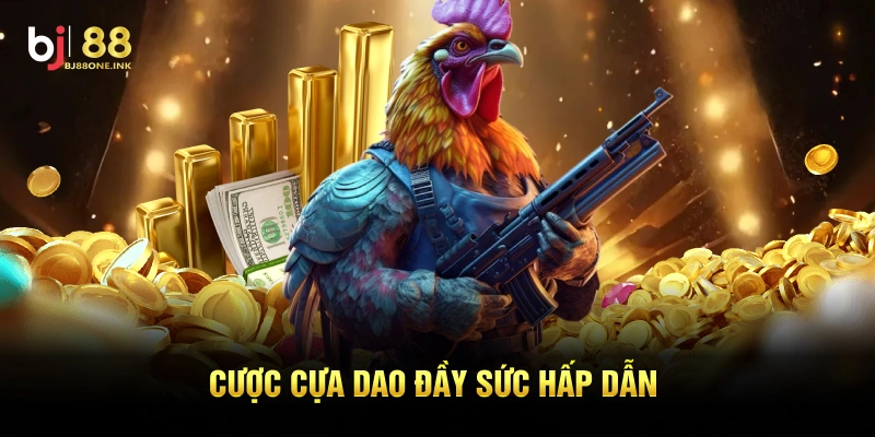 Cược cựa dao đầy sức hấp dẫn