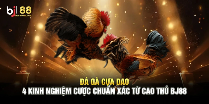 Đá Gà Cựa Dao - 4 Kinh Nghiệm Cược Chuẩn Xác Từ Cao Thủ BJ88