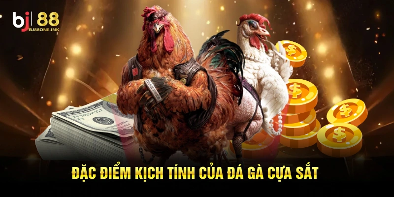 Đặc điểm kịch tính của đá gà cựa sắt