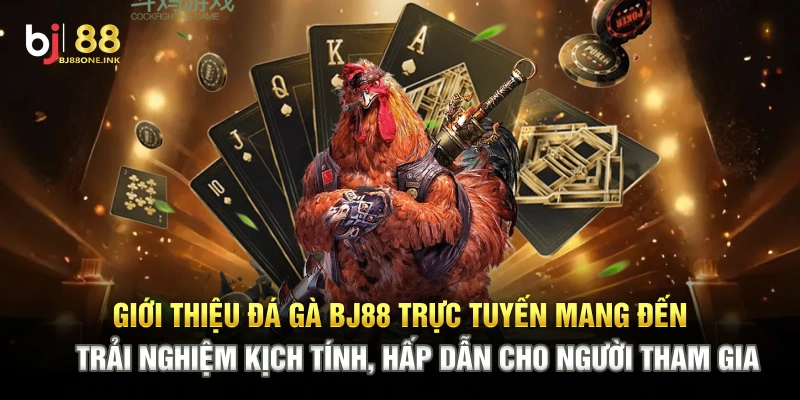 Giới thiệu đá gà BJ88 trực tuyến mang đến trải nghiệm kịch tính, hấp dẫn cho người tham gia