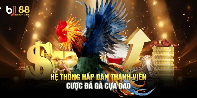 Hệ thống hấp dẫn thành viên cược đá gà cựa dao