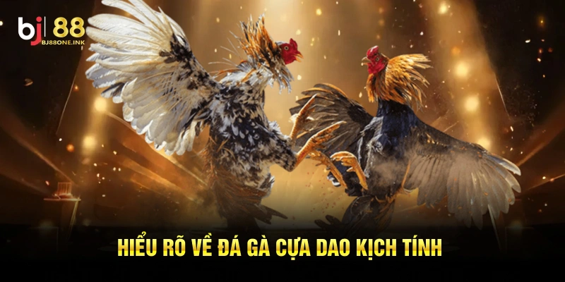 Hiểu rõ về đá gà cựa dao kịch tính