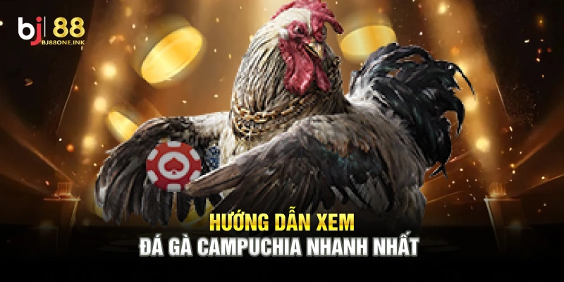 Hướng dẫn xem đá gà Campuchia nhanh nhất