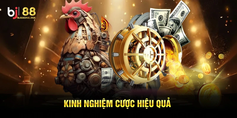Kinh nghiệm cược hiệu quả