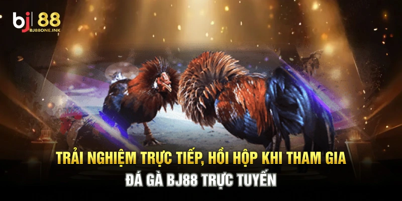 Trải nghiệm trực tiếp, hồi hộp khi tham gia đá gà BJ88 trực tuyến